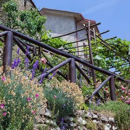 Borgo Dei Corsi House Отель *